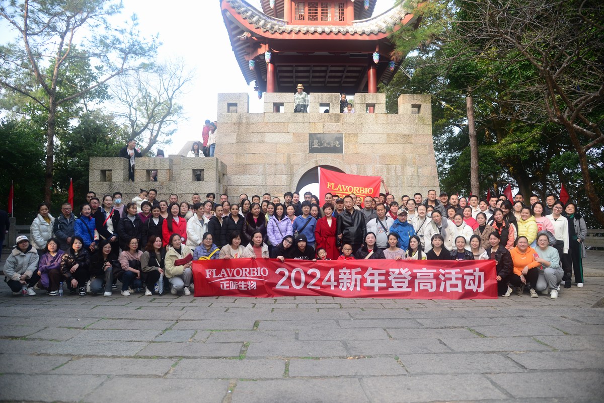 記正味元旦登山活動